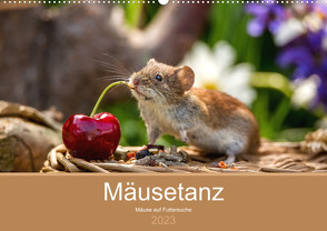 Mäusetanz (Wandkalender 2023 DIN A2 quer) von Geisdorf Photography,  Linda