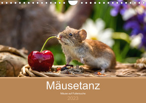 Mäusetanz (Wandkalender 2023 DIN A4 quer) von Geisdorf Photography,  Linda