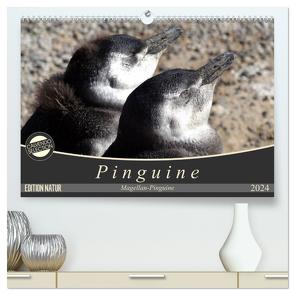 Magellan-Pinguine (hochwertiger Premium Wandkalender 2024 DIN A2 quer), Kunstdruck in Hochglanz von Flori0,  Flori0