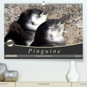 Magellan-Pinguine (Premium, hochwertiger DIN A2 Wandkalender 2022, Kunstdruck in Hochglanz) von Flori0