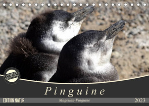 Magellan-Pinguine (Tischkalender 2023 DIN A5 quer) von Flori0