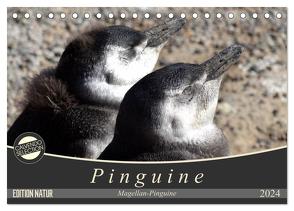 Magellan-Pinguine (Tischkalender 2024 DIN A5 quer), CALVENDO Monatskalender von Flori0,  Flori0