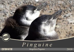 Magellan-Pinguine (Wandkalender 2019 DIN A3 quer) von Flori0