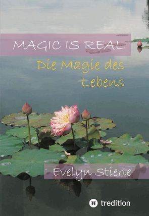 Magic is real von Stierle,  Evelyn
