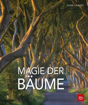 Magie der Bäume von Laudert,  Doris