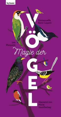 Magie der Vögel von Gamillscheg,  Marie, Kecir-Lepetit,  Emmanuelle, Maupetit,  Léa