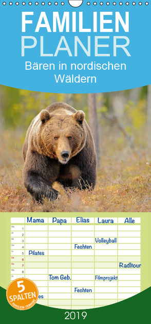 Magie des Augenblicks – Bären in nordischen Wäldern – Familienplaner hoch (Wandkalender 2019 , 21 cm x 45 cm, hoch) von Wisniewski,  Winfried