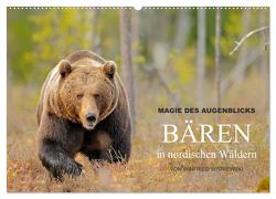 Magie des Augenblicks – Bären in nordischen Wäldern (Wandkalender 2024 DIN A2 quer), CALVENDO Monatskalender von Wisniewski,  Winfried
