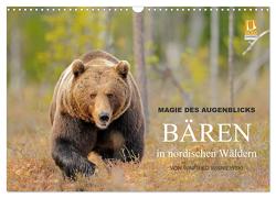 Magie des Augenblicks – Bären in nordischen Wäldern (Wandkalender 2024 DIN A3 quer), CALVENDO Monatskalender von Wisniewski,  Winfried
