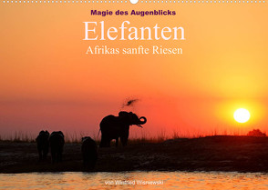 Magie des Augenblicks – Elefanten – Afrikas sanfte Riesen (Wandkalender 2023 DIN A2 quer) von Wisniewski,  Winfried