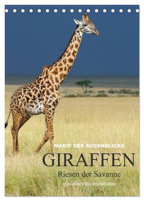 Magie des Augenblicks – Giraffen – Riesen der Savanne (Tischkalender 2024 DIN A5 hoch), CALVENDO Monatskalender von Wisniewski,  Winfried