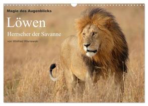 Magie des Augenblicks – Löwen – Herrscher der Savanne (Wandkalender 2024 DIN A3 quer), CALVENDO Monatskalender von Wisniewski,  Winfried