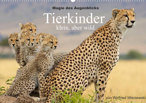 Magie des Augenblicks – Tierkinder – klein, aber wild (Wandkalender 2022 DIN A2 quer) von Wisniewski,  Winfried