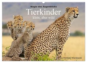 Magie des Augenblicks – Tierkinder – klein, aber wild (Wandkalender 2024 DIN A2 quer), CALVENDO Monatskalender von Wisniewski,  Winfried