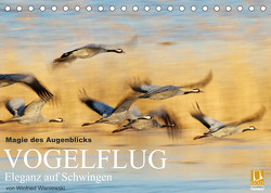 Magie des Augenblicks – Vogelflug – Eleganz auf Schwingen (Tischkalender 2023 DIN A5 quer) von Wisniewski,  Winfried
