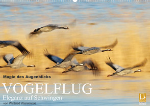 Magie des Augenblicks – Vogelflug – Eleganz auf Schwingen (Wandkalender 2022 DIN A2 quer) von Wisniewski,  Winfried