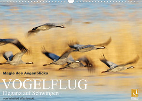 Magie des Augenblicks – Vogelflug – Eleganz auf Schwingen (Wandkalender 2022 DIN A3 quer) von Wisniewski,  Winfried