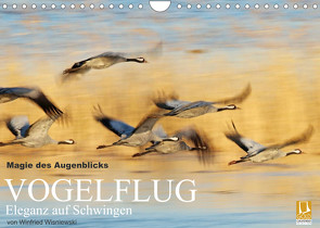 Magie des Augenblicks – Vogelflug – Eleganz auf Schwingen (Wandkalender 2022 DIN A4 quer) von Wisniewski,  Winfried