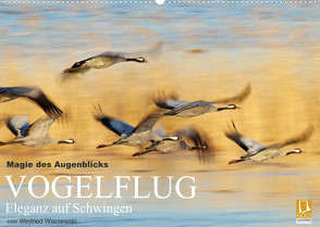 Magie des Augenblicks – Vogelflug – Eleganz auf Schwingen (Wandkalender 2023 DIN A2 quer) von Wisniewski,  Winfried