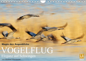 Magie des Augenblicks – Vogelflug – Eleganz auf Schwingen (Wandkalender 2023 DIN A4 quer) von Wisniewski,  Winfried