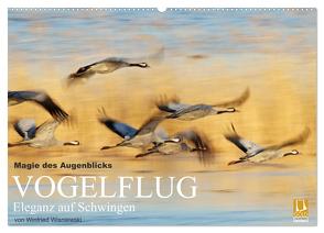 Magie des Augenblicks – Vogelflug – Eleganz auf Schwingen (Wandkalender 2024 DIN A2 quer), CALVENDO Monatskalender von Wisniewski,  Winfried