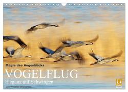 Magie des Augenblicks – Vogelflug – Eleganz auf Schwingen (Wandkalender 2024 DIN A3 quer), CALVENDO Monatskalender von Wisniewski,  Winfried