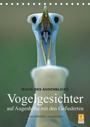 Magie des Augenblicks – Vogelgesichter – auf Augenhöhe mit den Gefiederten (Tischkalender 2023 DIN A5 hoch) von Wisniewski,  Winfried