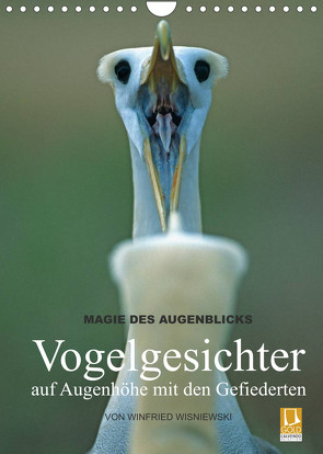 Magie des Augenblicks – Vogelgesichter – auf Augenhöhe mit den Gefiederten (Wandkalender 2022 DIN A4 hoch) von Wisniewski,  Winfried