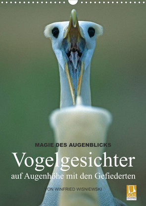 Magie des Augenblicks – Vogelgesichter – auf Augenhöhe mit den Gefiederten (Wandkalender 2023 DIN A3 hoch) von Wisniewski,  Winfried