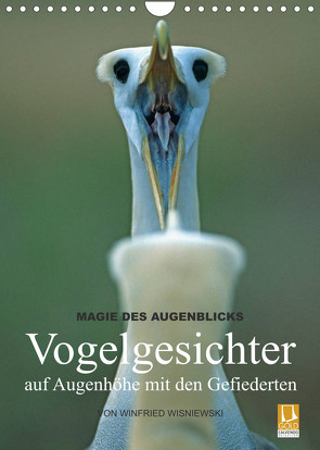Magie des Augenblicks – Vogelgesichter – auf Augenhöhe mit den Gefiederten (Wandkalender 2023 DIN A4 hoch) von Wisniewski,  Winfried