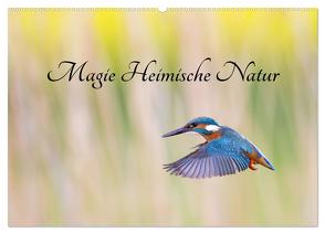 Magie Heimische Natur (Wandkalender 2024 DIN A2 quer), CALVENDO Monatskalender von Martin (GDT),  Wilfried
