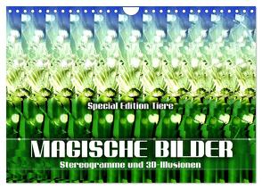 Magische Bilder – Stereogramme und 3D-Illusionen (Wandkalender 2024 DIN A4 quer), CALVENDO Monatskalender von Utz,  Renate