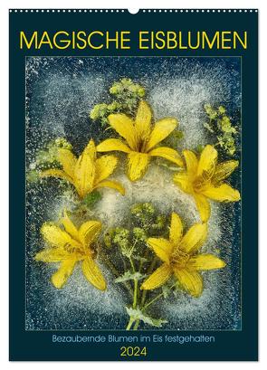 Magische Eisblumen (Wandkalender 2024 DIN A2 hoch), CALVENDO Monatskalender von Richter,  Harald