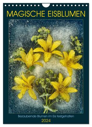 Magische Eisblumen (Wandkalender 2024 DIN A4 hoch), CALVENDO Monatskalender von Richter,  Harald