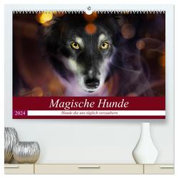 Magische Hunde – Hunde die uns täglich verzaubern (hochwertiger Premium Wandkalender 2024 DIN A2 quer), Kunstdruck in Hochglanz von Mayer Tierfotografie,  Andrea
