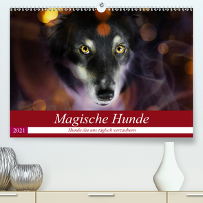 Magische Hunde – Hunde die uns täglich verzaubern (Premium, hochwertiger DIN A2 Wandkalender 2021, Kunstdruck in Hochglanz) von Mayer Tierfotografie,  Andrea
