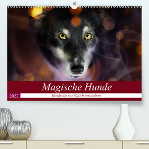 Magische Hunde – Hunde die uns täglich verzaubern (Premium, hochwertiger DIN A2 Wandkalender 2022, Kunstdruck in Hochglanz) von Mayer Tierfotografie,  Andrea