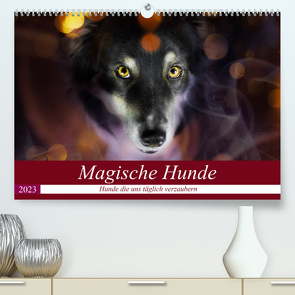 Magische Hunde – Hunde die uns täglich verzaubern (Premium, hochwertiger DIN A2 Wandkalender 2023, Kunstdruck in Hochglanz) von Mayer Tierfotografie,  Andrea