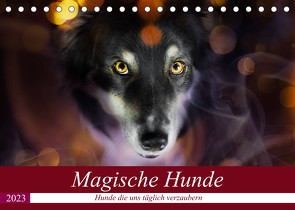 Magische Hunde – Hunde die uns täglich verzaubern (Tischkalender 2023 DIN A5 quer) von Mayer Tierfotografie,  Andrea