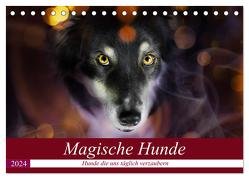 Magische Hunde – Hunde die uns täglich verzaubern (Tischkalender 2024 DIN A5 quer), CALVENDO Monatskalender von Mayer Tierfotografie,  Andrea