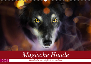 Magische Hunde – Hunde die uns täglich verzaubern (Wandkalender 2021 DIN A2 quer) von Mayer Tierfotografie,  Andrea