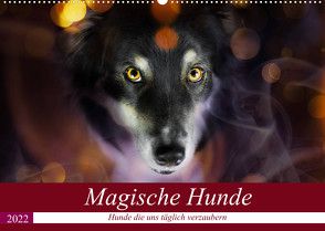 Magische Hunde – Hunde die uns täglich verzaubern (Wandkalender 2022 DIN A2 quer) von Mayer Tierfotografie,  Andrea