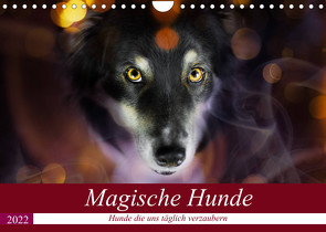 Magische Hunde – Hunde die uns täglich verzaubern (Wandkalender 2022 DIN A4 quer) von Mayer Tierfotografie,  Andrea
