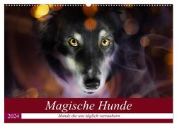 Magische Hunde – Hunde die uns täglich verzaubern (Wandkalender 2024 DIN A2 quer), CALVENDO Monatskalender von Mayer Tierfotografie,  Andrea