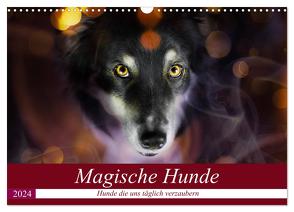 Magische Hunde – Hunde die uns täglich verzaubern (Wandkalender 2024 DIN A3 quer), CALVENDO Monatskalender von Mayer Tierfotografie,  Andrea