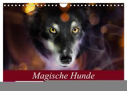 Magische Hunde – Hunde die uns täglich verzaubern (Wandkalender 2024 DIN A4 quer), CALVENDO Monatskalender von Mayer Tierfotografie,  Andrea