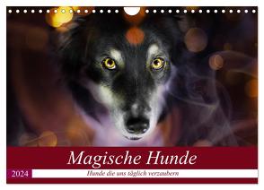 Magische Hunde – Hunde die uns täglich verzaubern (Wandkalender 2024 DIN A4 quer), CALVENDO Monatskalender von Mayer Tierfotografie,  Andrea