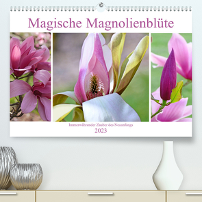 Magische Magnolienblüte (Premium, hochwertiger DIN A2 Wandkalender 2023, Kunstdruck in Hochglanz) von B-B Müller,  Christine