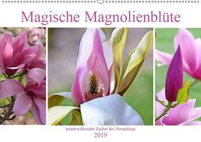 Magische Magnolienblüte (Wandkalender 2019 DIN A2 quer) von B-B Müller,  Christine