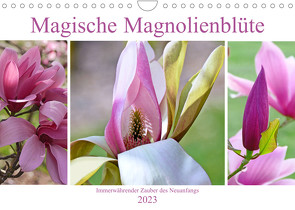 Magische Magnolienblüte (Wandkalender 2023 DIN A4 quer) von B-B Müller,  Christine